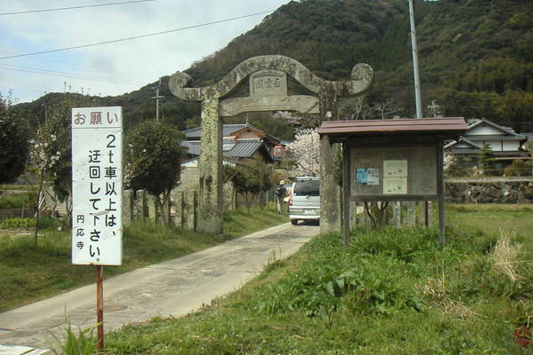 円応寺の桜並木