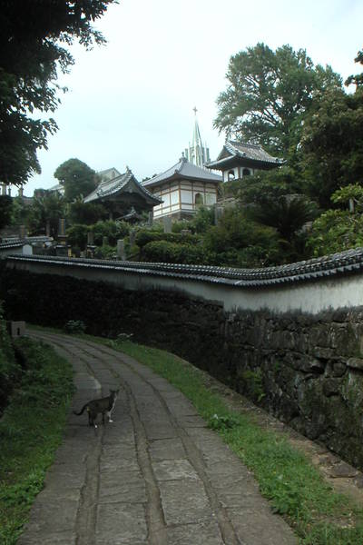 猫と寺院と教会の見える風景
