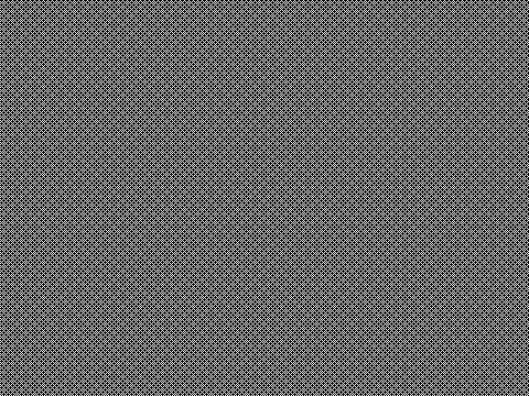 ImageMagickで描画したGray40のパターン
